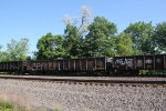 GONX 300461